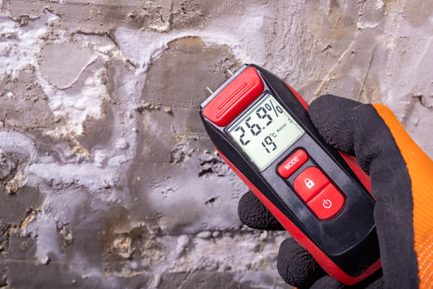 Best Mold Removal Near Me  in Springdale, AR