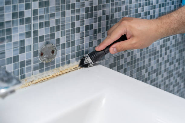 Best Professional Mold Removal  in Springdale, AR